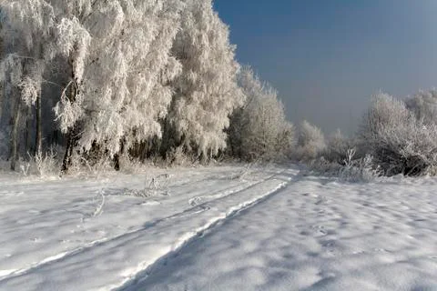 Road in winter Stock Photos