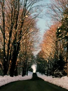 Road in winter Foto stock