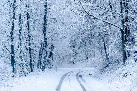 Road in winter Stock Photos