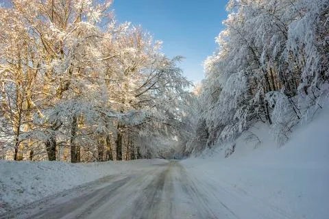 The road at winter Stock Photos