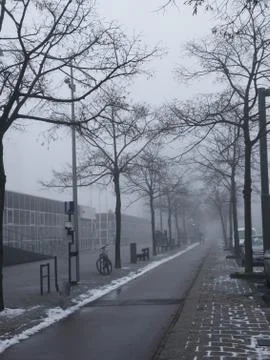A road in winter Stock Photos