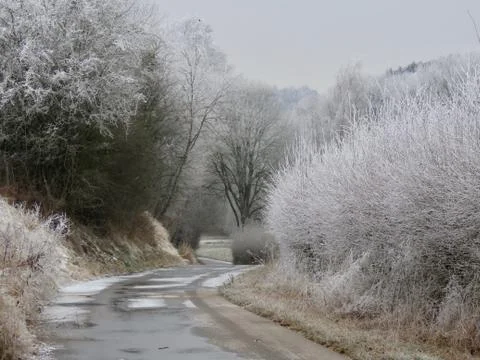Road in winter Stock Photos