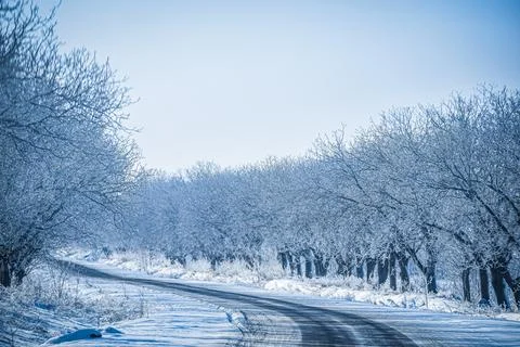 Road in winter Foto stock