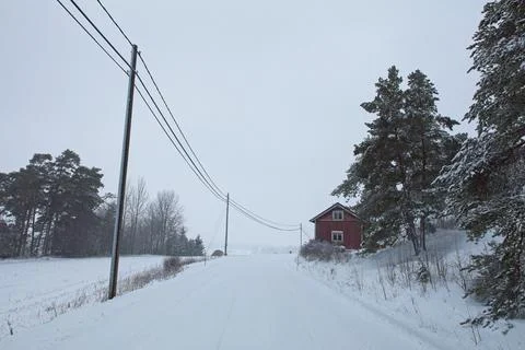 Road in winter. Stock Photos