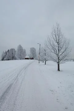 Road in winter. Stock Photos