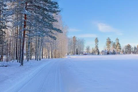 Road in winter. Stock-Fotos