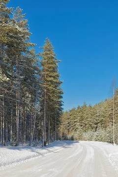 Road in winter. Stock Photos
