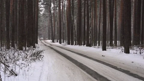 Road in the winter pine forest 库存影片 83367557