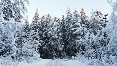 Road in a winter snow covered forest Stock Footage 147723228