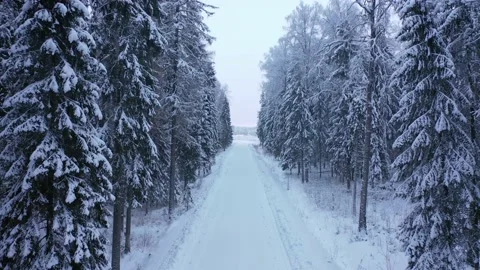 Road in the winter snowy forest Stock Footage 147712839