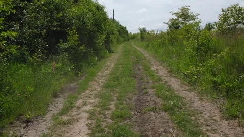 Road without asphalt, dirt rural road in the wilderness overgrown with grass Stock Footage 275828636