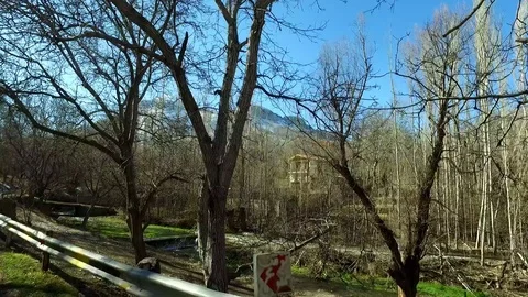 Road in the wood Stock Footage 122348257