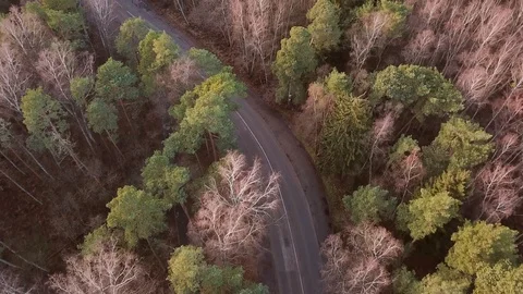 Road in the woods from above. Aerial drone 4k footage Stock Footage 101276053