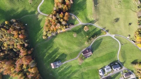 The road in the woods 库存影片 142466293