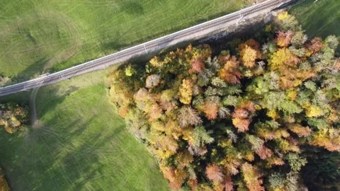 The road in the woods Stock Footage 142466310