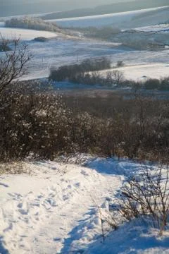 Road in the woods Foto stock