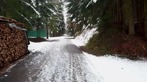 Road in the woods with snow falling off the trees Video stock 148389168