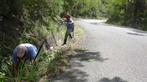 Road workers cleaning storm drains in the caribbean mountains. Stock Footage 138091995