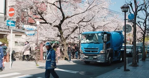 Road workers stopping traffics, cherry blossoms at background, KYOTO / JAPAN - Stock Footage 106611790