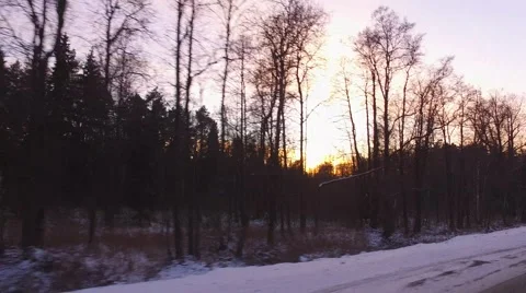 Road1 backwoods 5 Stock Footage 61567404