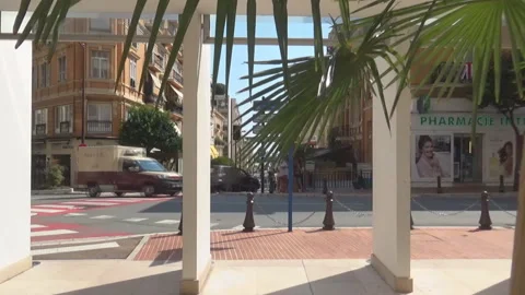 Roadand palm trees Stock Footage 110705432