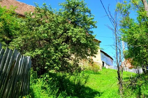 Roades-Radeln Stock Photos