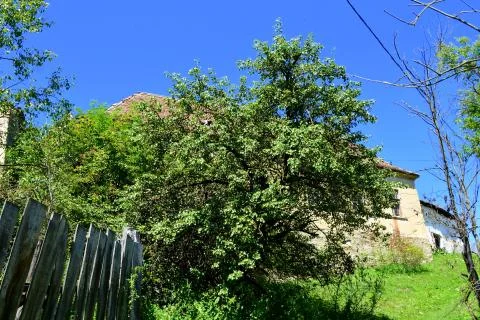 Roades-Radeln Foto stock