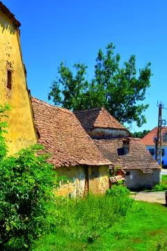 Roades-Radeln Stock Photos