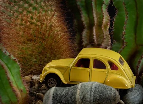 Off Roading Stock Photos