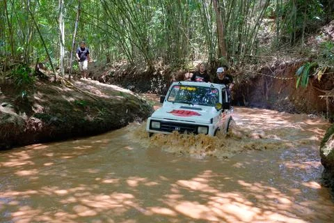 Off-Roading Through a Serene Forest Landscape with Waterway and Trail Stock Photos