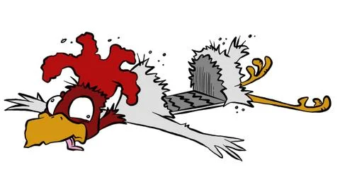 Roadkill chicken Stock Illustration