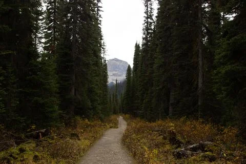 Roads along the trails of Canada Stock Photos