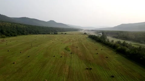 Roads and fields of agriculture Vídeo Stock 168179349