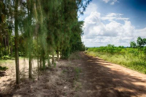 Roads beautiful Stock Photos