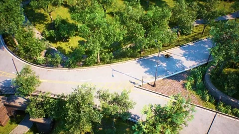 Roads at the City Park Stock Footage 248713324