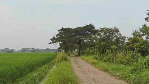 The roads in the countryside Stock Footage 303472805