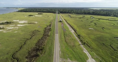 Roads in the Georgia swamp Stock Footage 119041316
