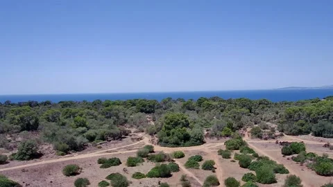 Roads that lead to a forest with the sea in the background Stock Footage 201068757