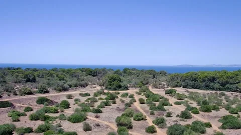 Roads that lead to a forest with the sea in the background Stock Footage 201068793