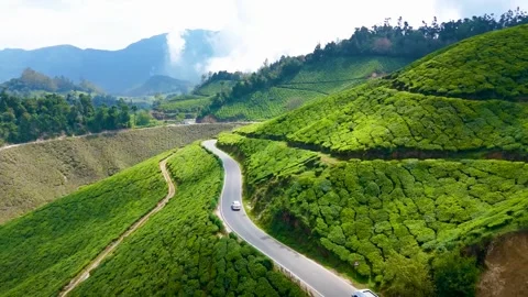 Roads through the green forest in Munnar (Aerial View). Stock Footage 300280436