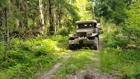 On the roads of war in a jeep through the forest Stock Footage 156804625