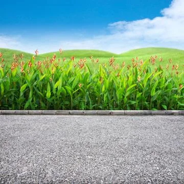 Roadside and grass Stock Photos