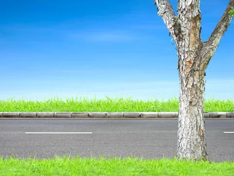 Roadside and tree Stock Photos