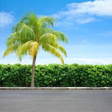 Roadside and tree Stock Photos