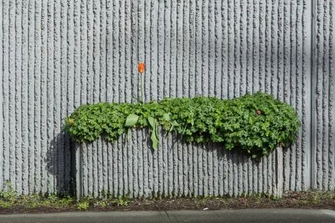 Roadside cement planter Stock Photos