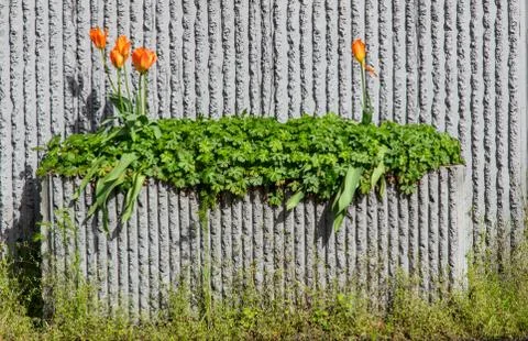 Roadside cement planter Stock Photos