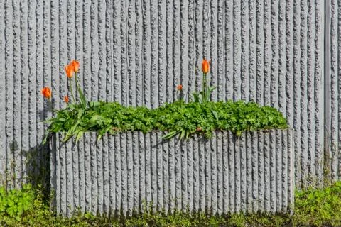 Roadside cement planter Stock Photos