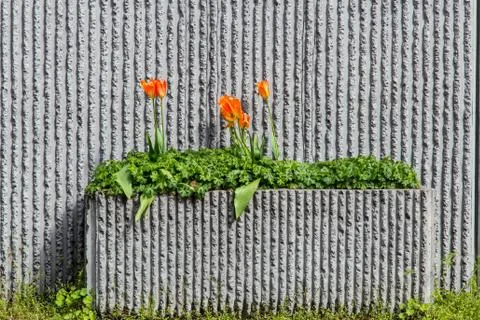 Roadside cement planter Stock Photos