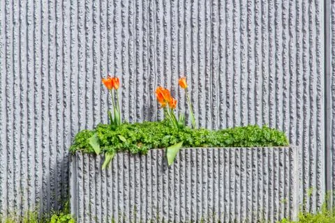 Roadside cement planter Stock Photos