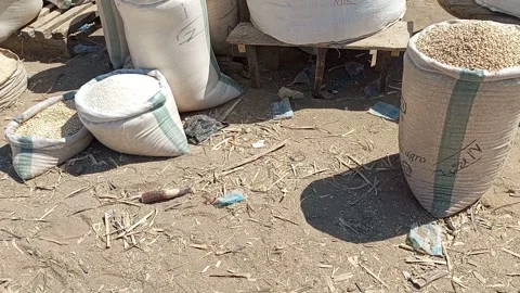 Roadside Cereal Sacks Local Commodity Market Kano Nigeria Видео 321746996